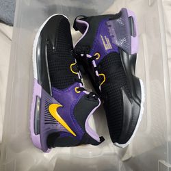 Nike LeBrons Size 11