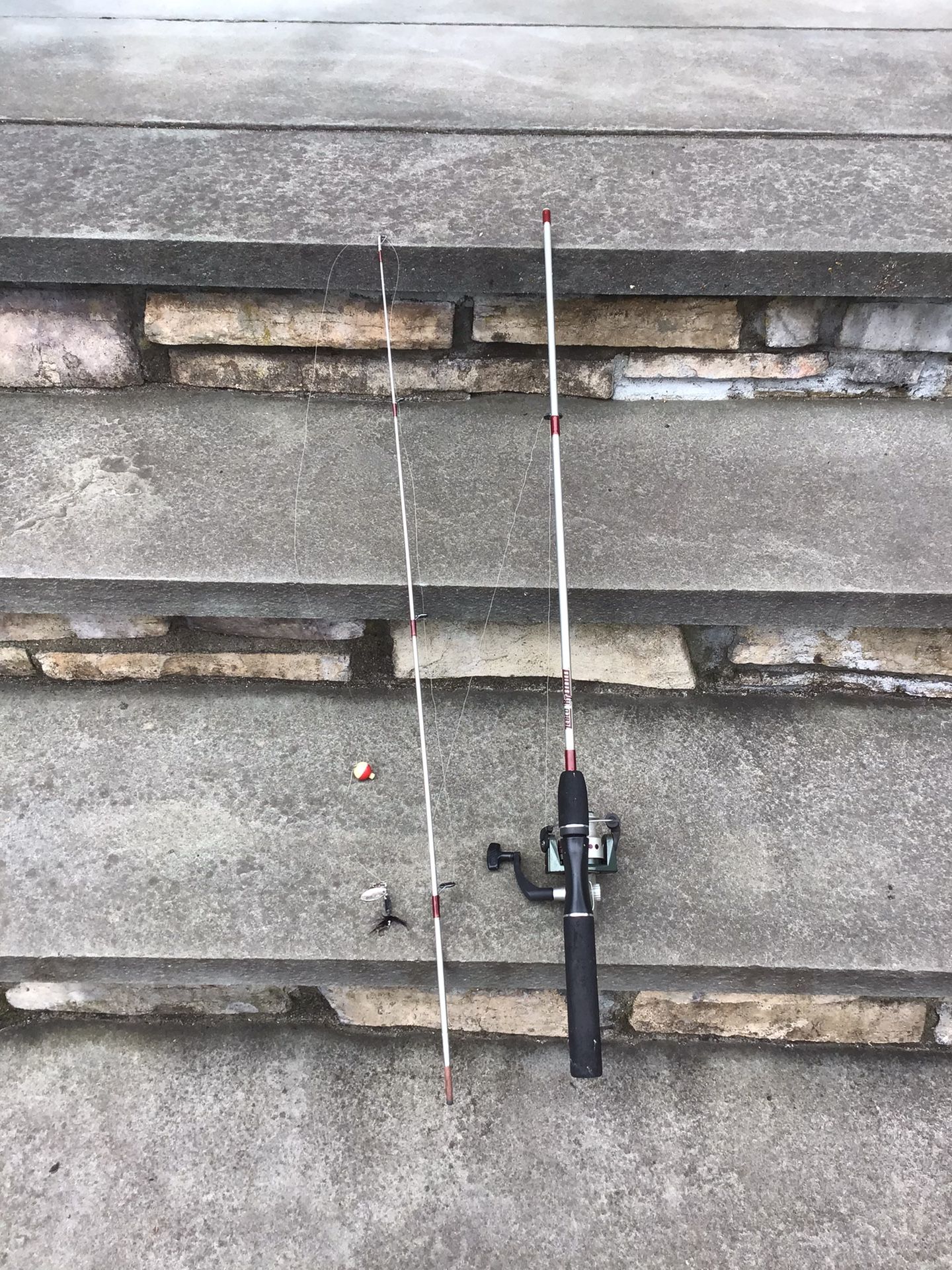 Free Fishing rod and reel