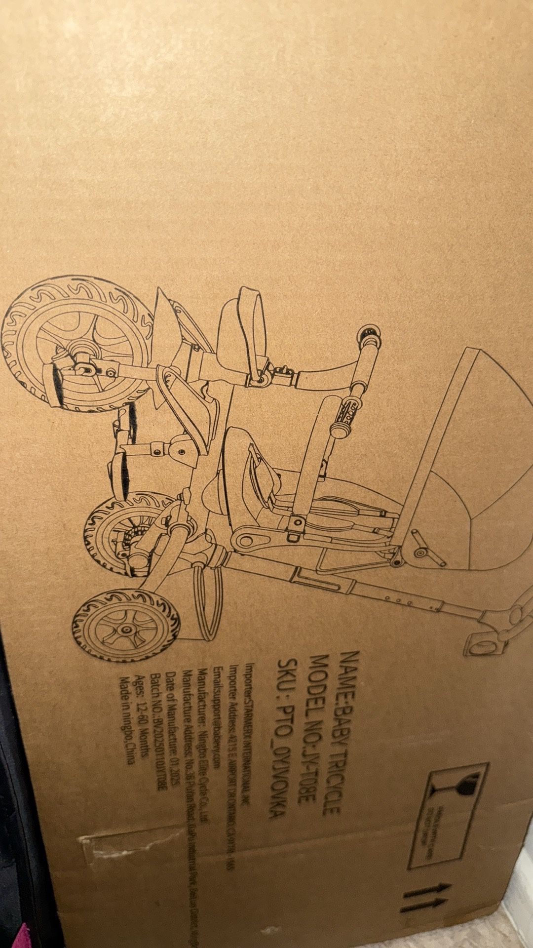 Baby tricycle