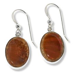 $82 Jay King Ammonite Fossill Earrings 873589 New $82 Jay King Ammonite Fossill Earrings