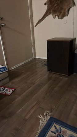 Bose 501