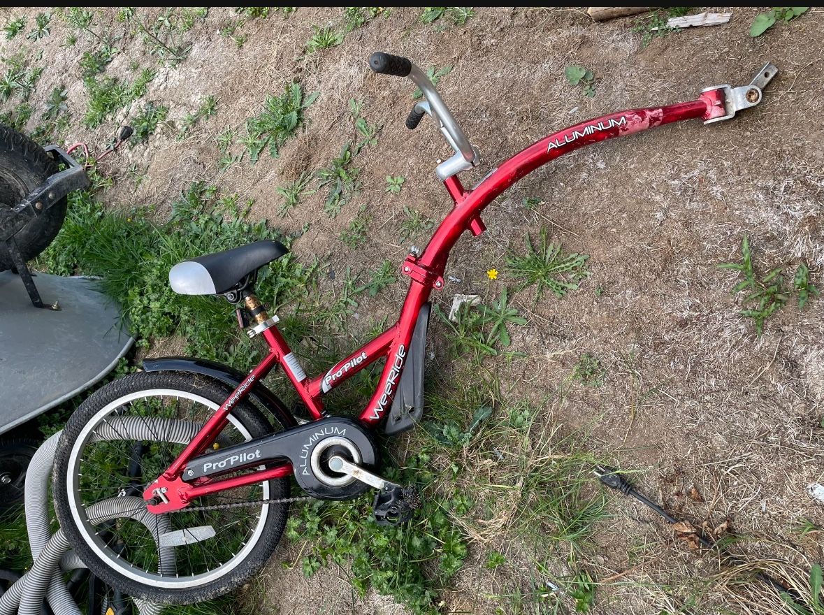 weeride Co-pilot Child Ride Behind Bike