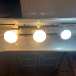 Budweiser Bar Light
