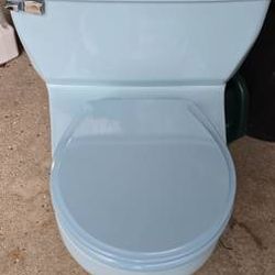Vintage Mid Century Briggs
Porcelain Toilet
Sky Blue
Complete