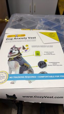 Dog anxiety best