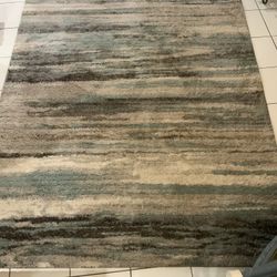 Large Area Rug