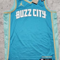 Jordan Charlotte Hornet Buzz City NBA Jersey (Size M 44)