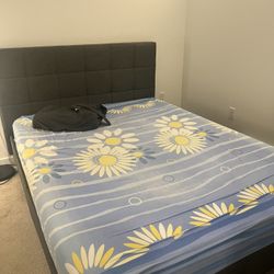 Zinus Bed And IKEA Foam