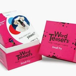New, Word Teaser Small Fry Card Game