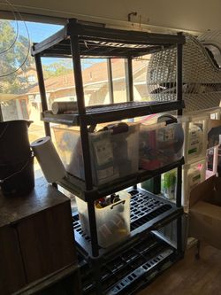 Shelf