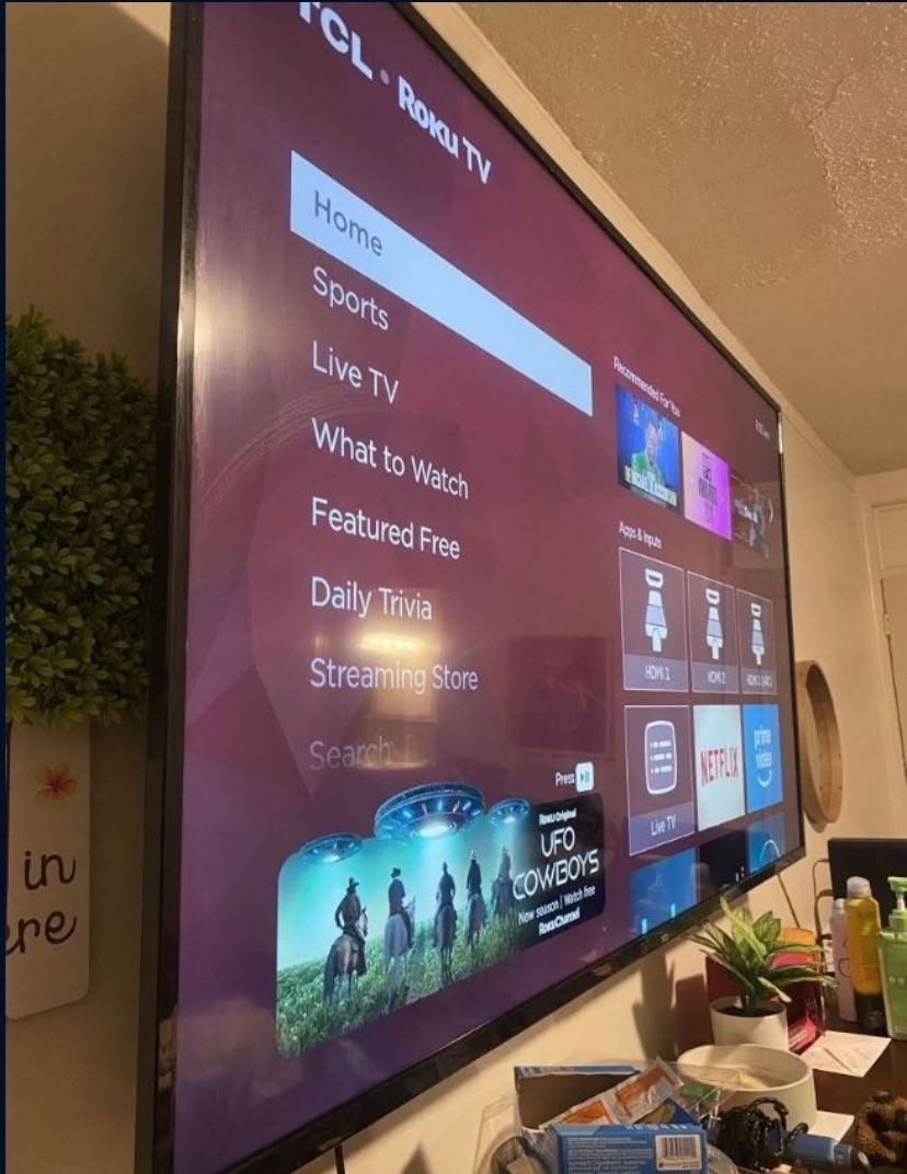 65inch And Wall Mount