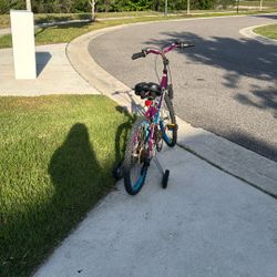 Free Bike