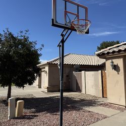 Lifetime inground basketball hoop 