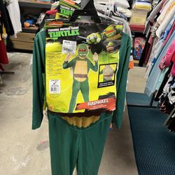 Teenage Mutan Ninja Turtle Raphael