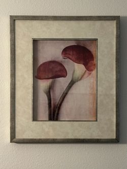 Framed Lily Floral Art Prints