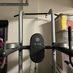 Gold Gym Power Tower