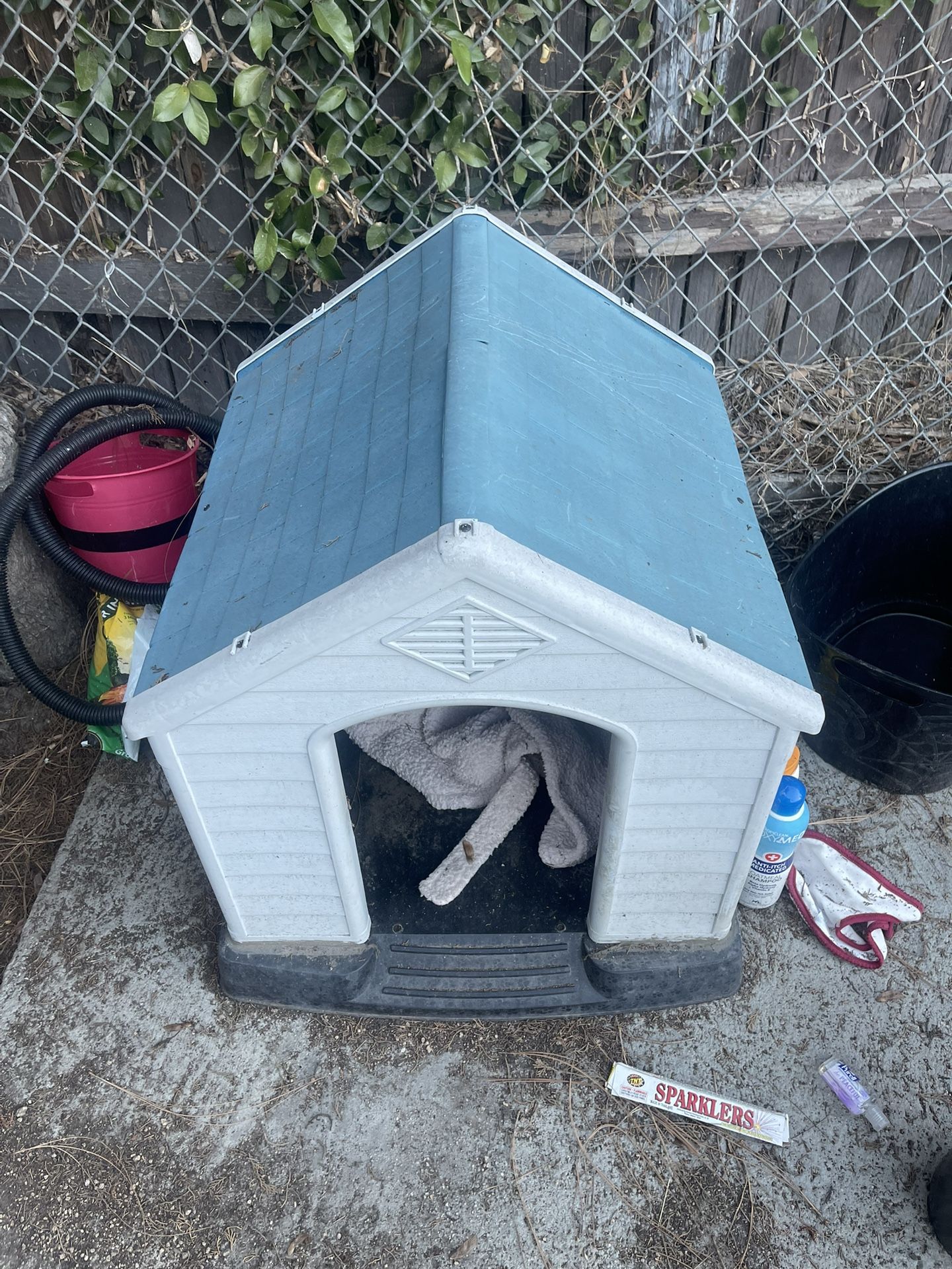 Dog House 