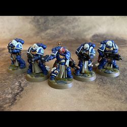 Sternguard Veteran Squad Painted