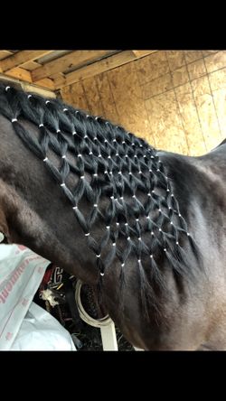 Trensas Para Caballos 🐴