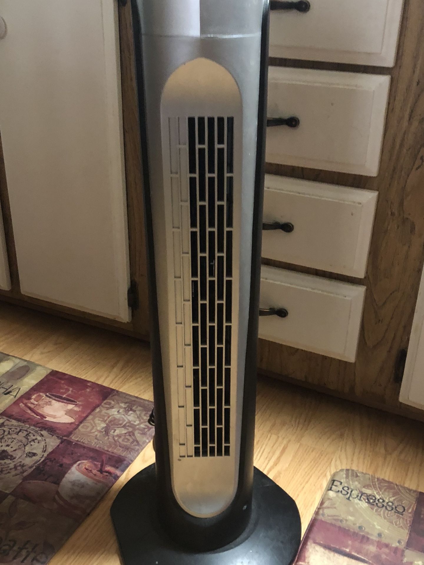 Home Fan