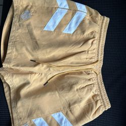 Darc Sports Mens Shorts