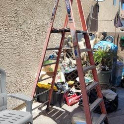 6ft Ladder 