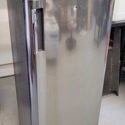 Lg Freeser 51 inches Tall