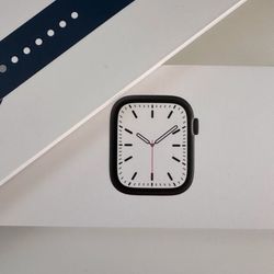 Apple Watch Series 7 41mm Stainless Steel
