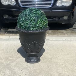Beautiful Pot And Topiary Ball