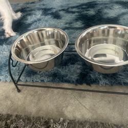 Dog Bowls 