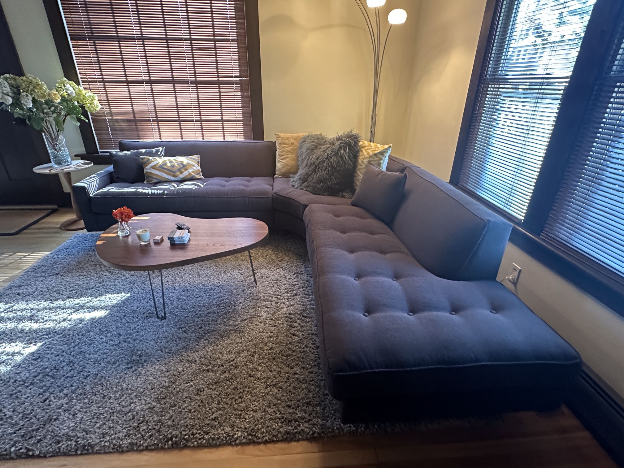 Mid Central Modern Sectional Sofa (like new)
