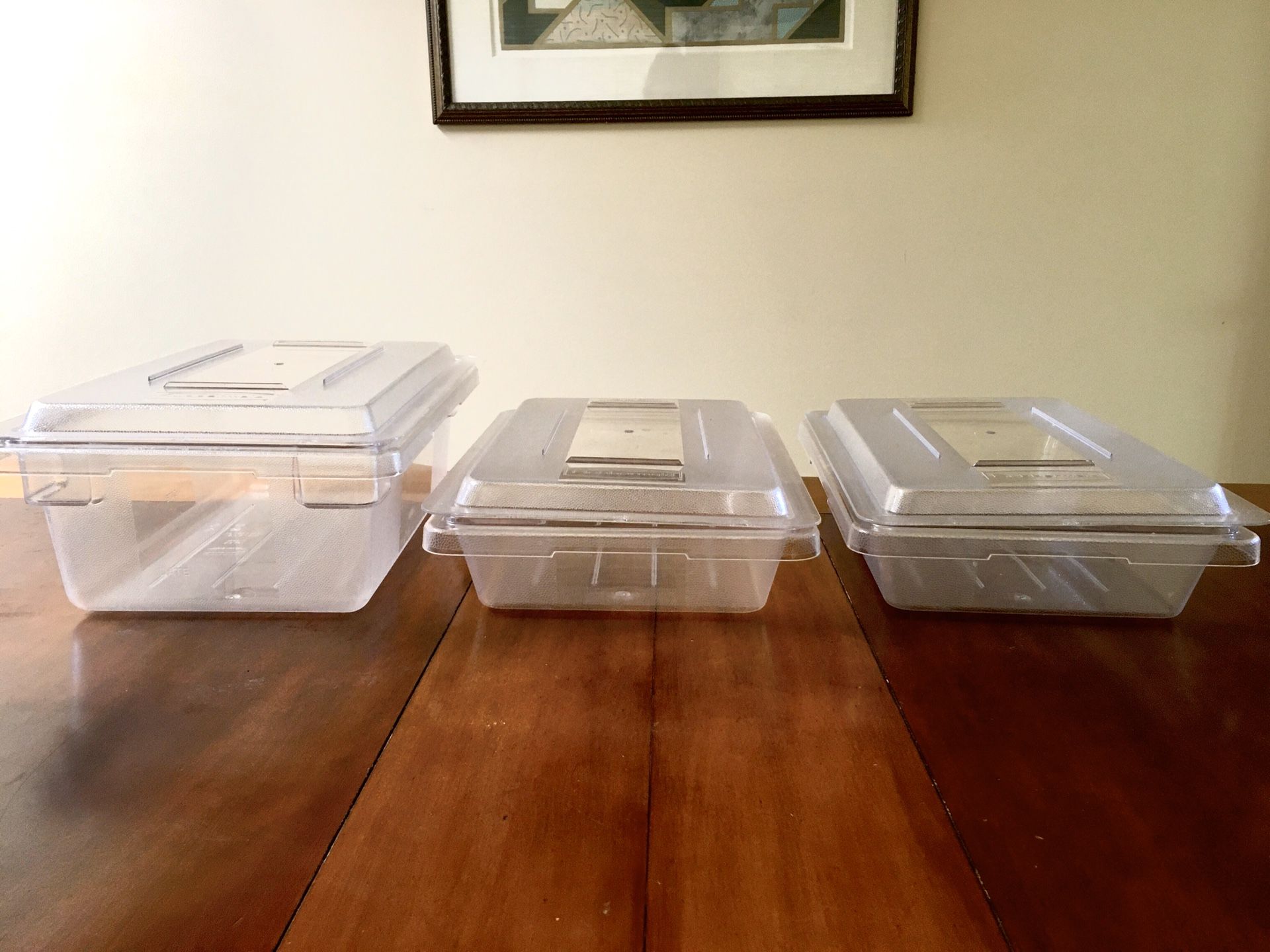 Rubbermaid commercial caterers food storage containers