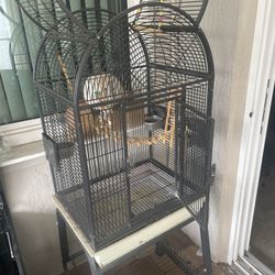 Bird Cage