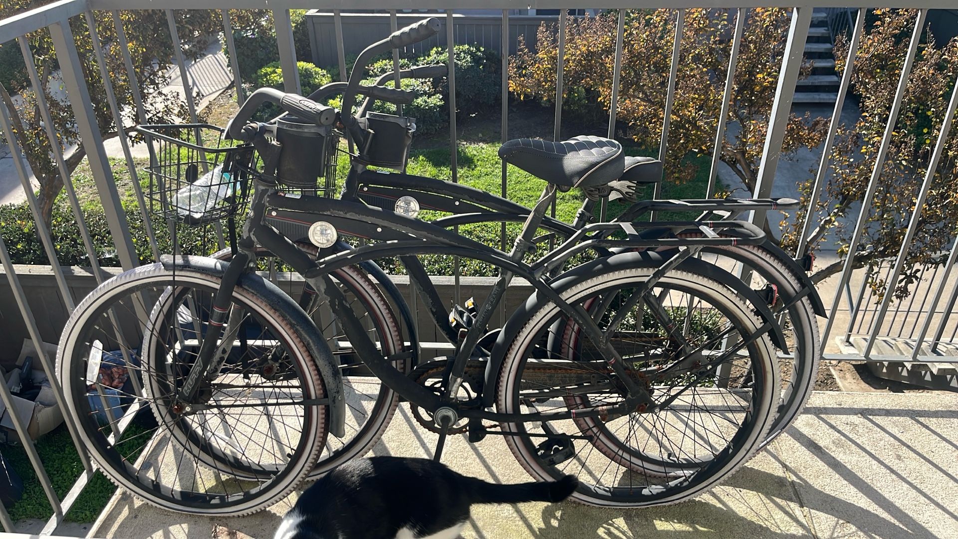 2 For 1 Bikes Cruisers