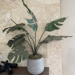 Fake House Plant 