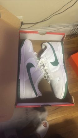 Size 11 brand new dunks