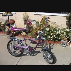 Schwinn Custome Grape Krate  five speed