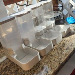Dogs Feeders 