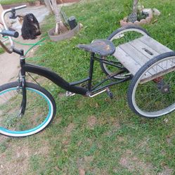 Adult Three Wheel Bike