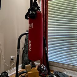MMA Punching Bag