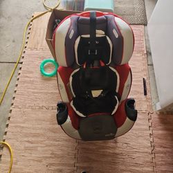Cat Seat Convertible 