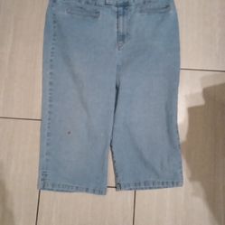 Like New Gloria Vanderbilt Sized 12p Shorts