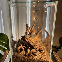 1.6 Gallon Nano Aquarium