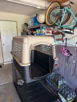 Large Hard-Shell Dog Crate Kennel