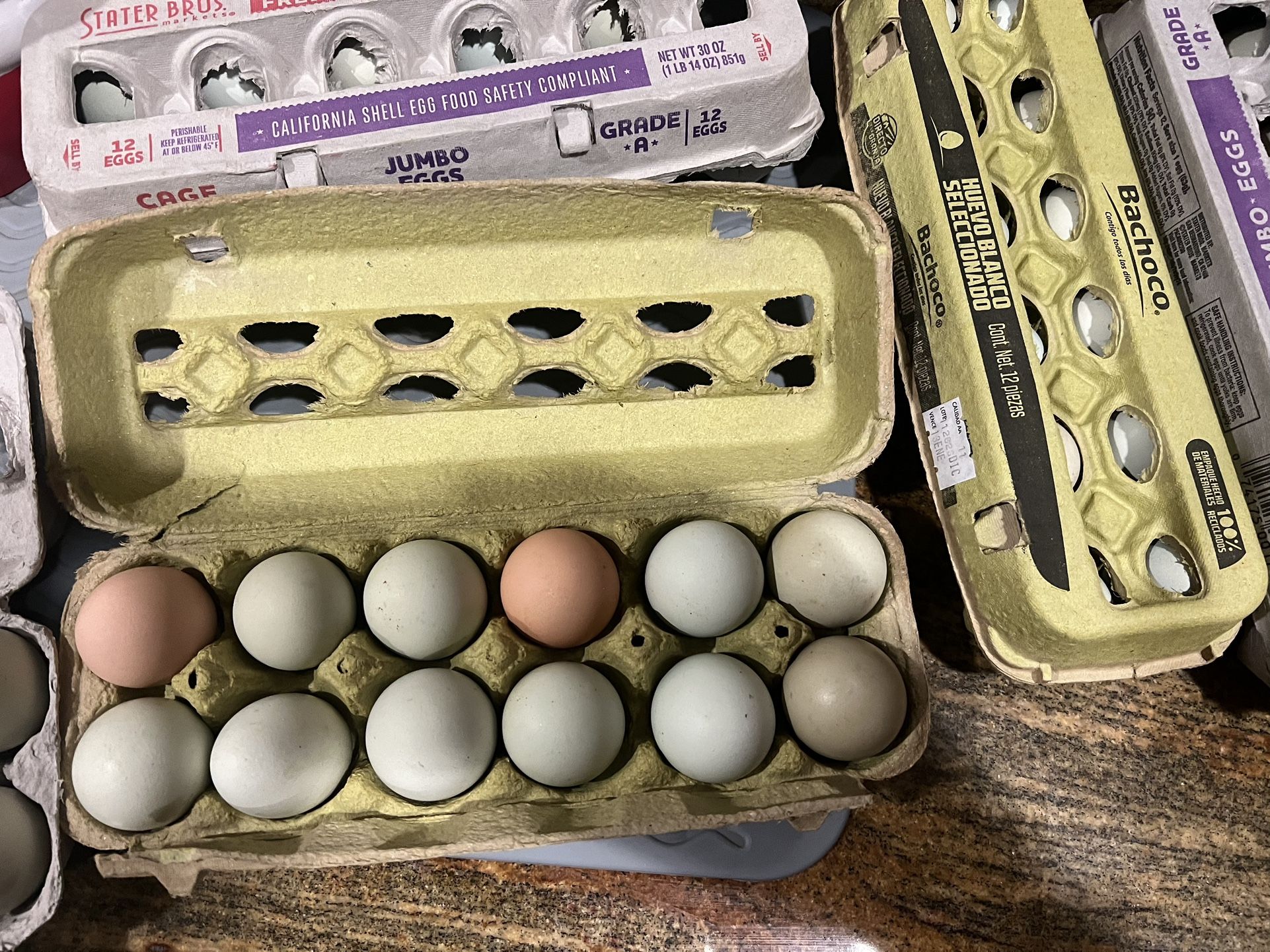 Farm Fresh Chicken  Eggs
