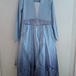 Frozen Costume (7/8)