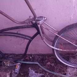 Beach Cruiser