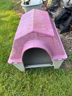 Large doghouse