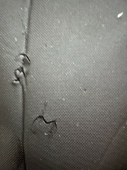Free Spring suit