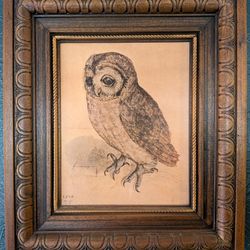 1970s vintage wood frame with Durer owl reproduction print